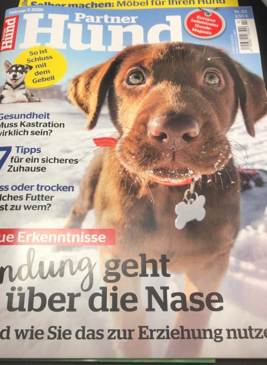 You are currently viewing Artikel in der Partner Hund