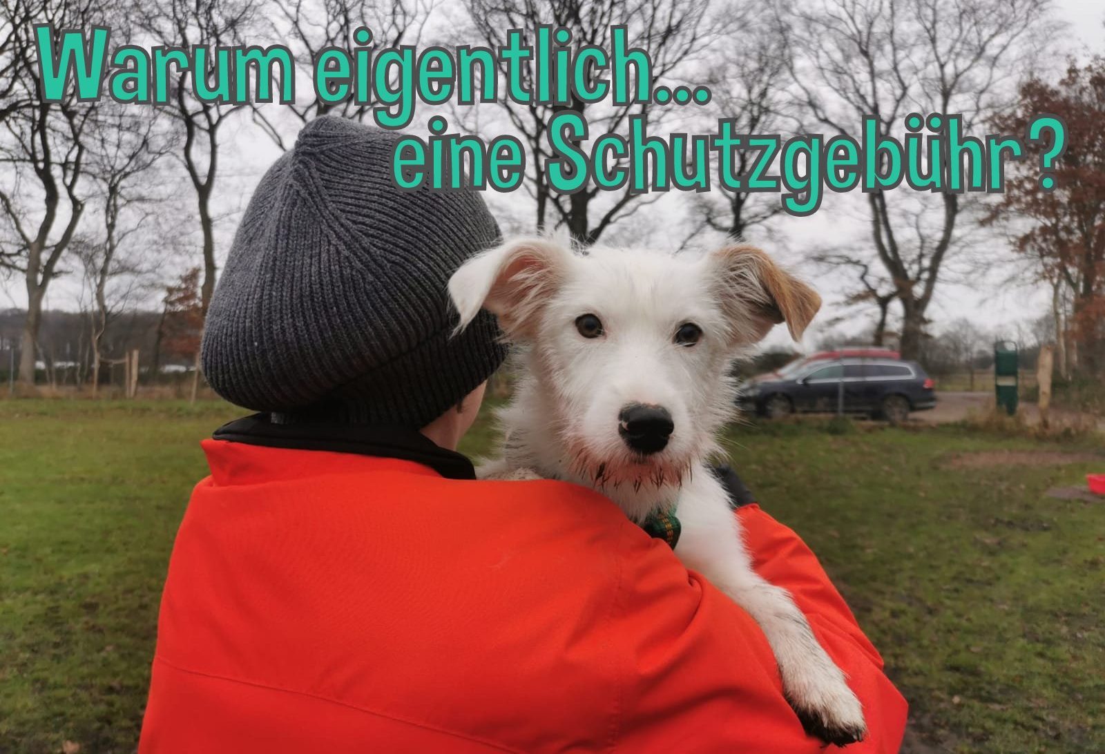 You are currently viewing Schutzgebühr für unsere Vierbeiner – Warum?