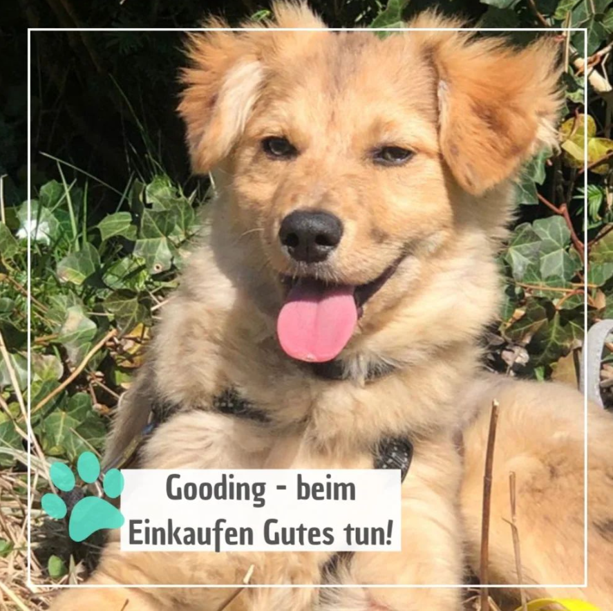 You are currently viewing Gooding – beim Einkauf Gutes tun!