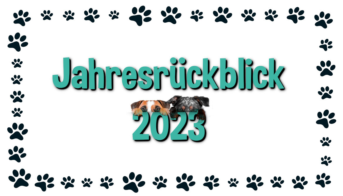 You are currently viewing Jahresrückblick 2023