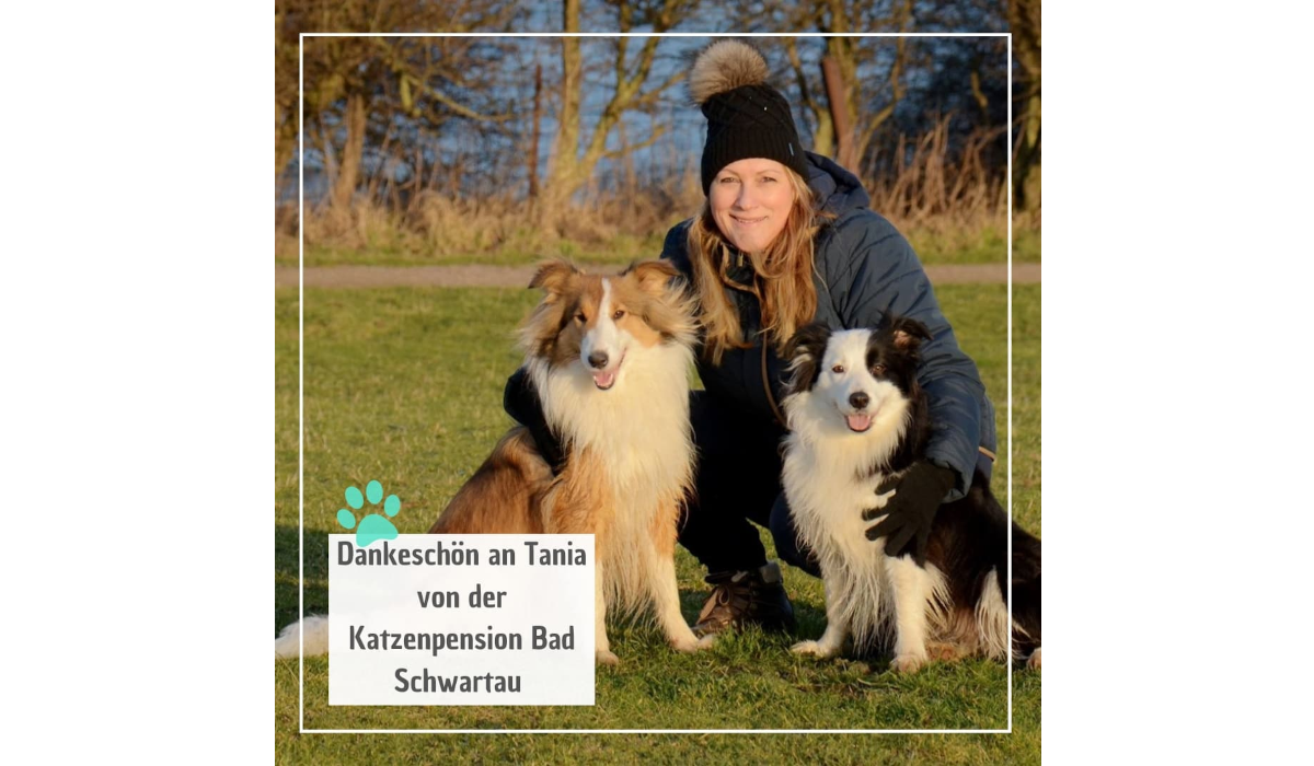 Read more about the article Ein herzliches Dankeschön an Tania von der Katzenpension Bad Schwartau! 🌟