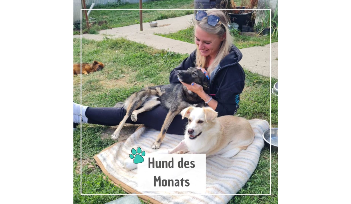 You are currently viewing HALONA-HUND-DES-MONATS Februar 2024