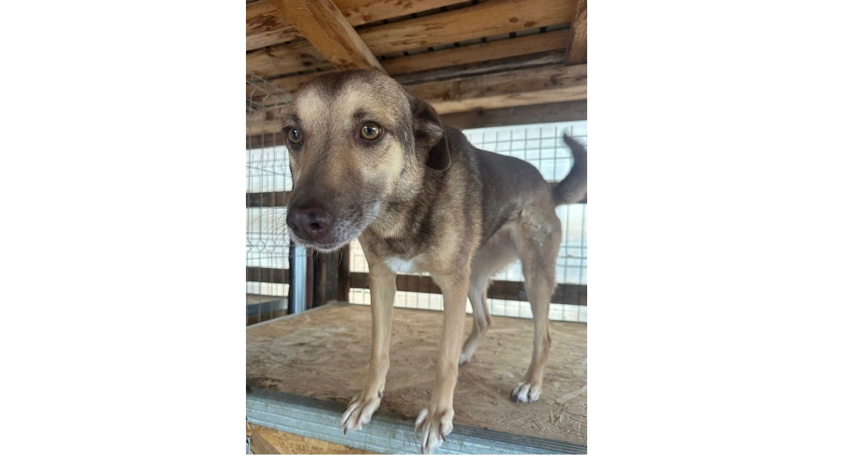 Du betrachtest gerade 🩷Lorelay, 4 Jahre