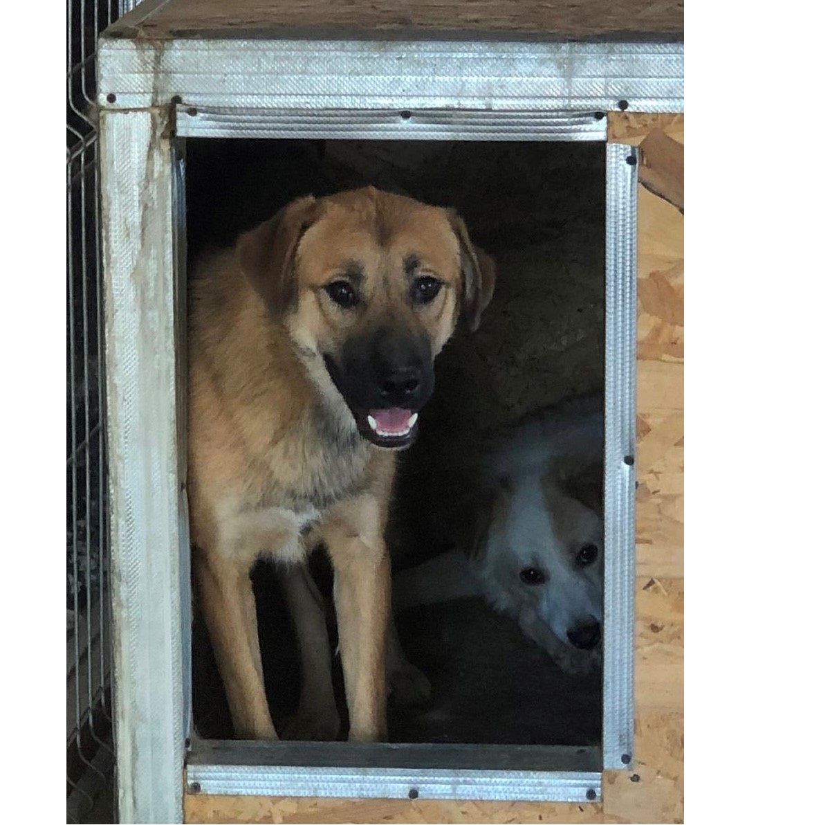 Du betrachtest gerade 💙Sammy, 12 Monate