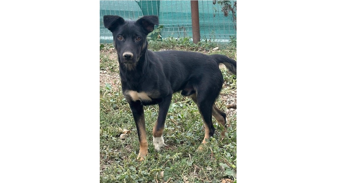 Du betrachtest gerade 💙Donut, 1 Jahr