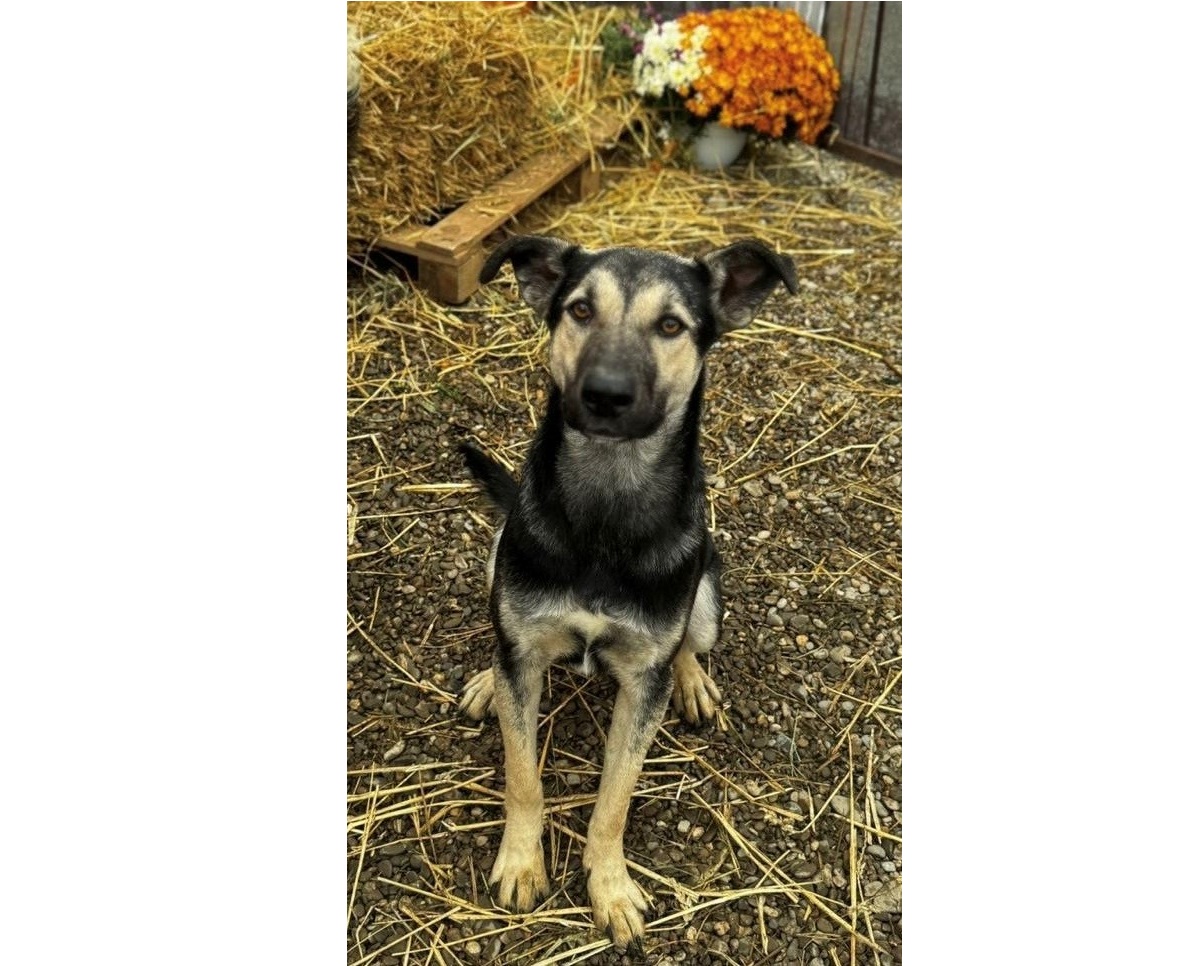 Du betrachtest gerade 🩷Mayla, 1 Jahr