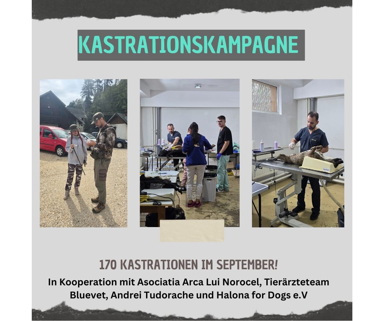 Mehr über den Artikel erfahren Kastrationskampagne September 2025 🍀