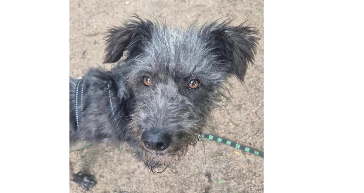 Mehr über den Artikel erfahren 💙 Valerio, 2 Jahre