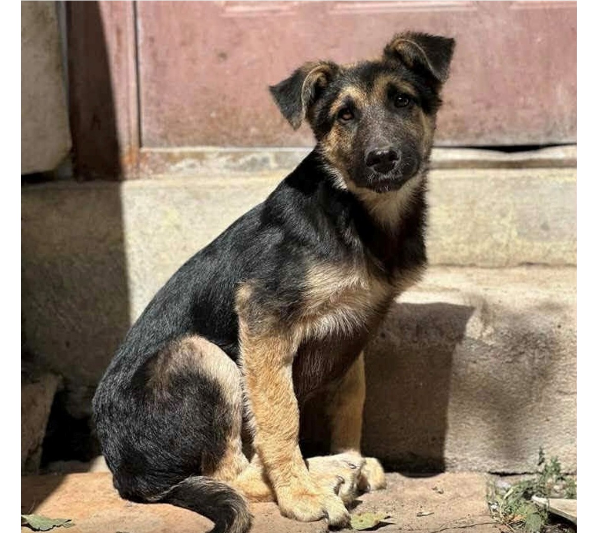 Du betrachtest gerade 💙 Forest, 7 Monate – ein tapferer kleiner Kämpfer