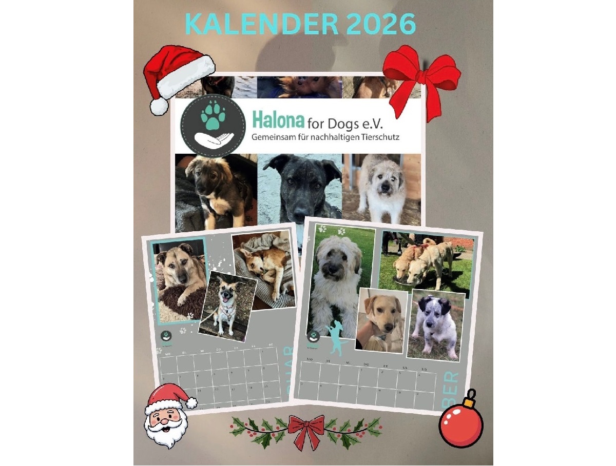 Du betrachtest gerade ❤ Halona Kalender 2026 ❤