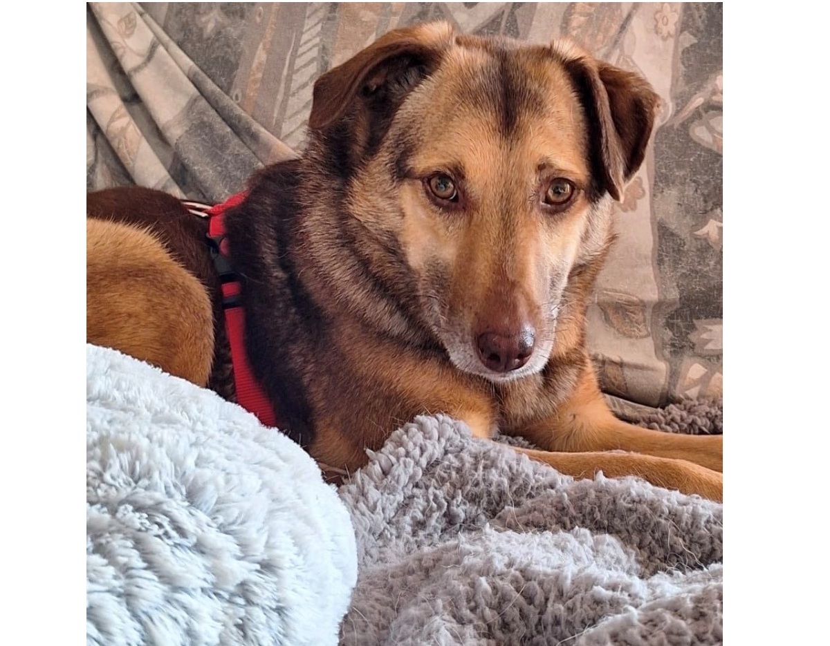 Mehr über den Artikel erfahren 💕LORELEY sucht ihr Glück