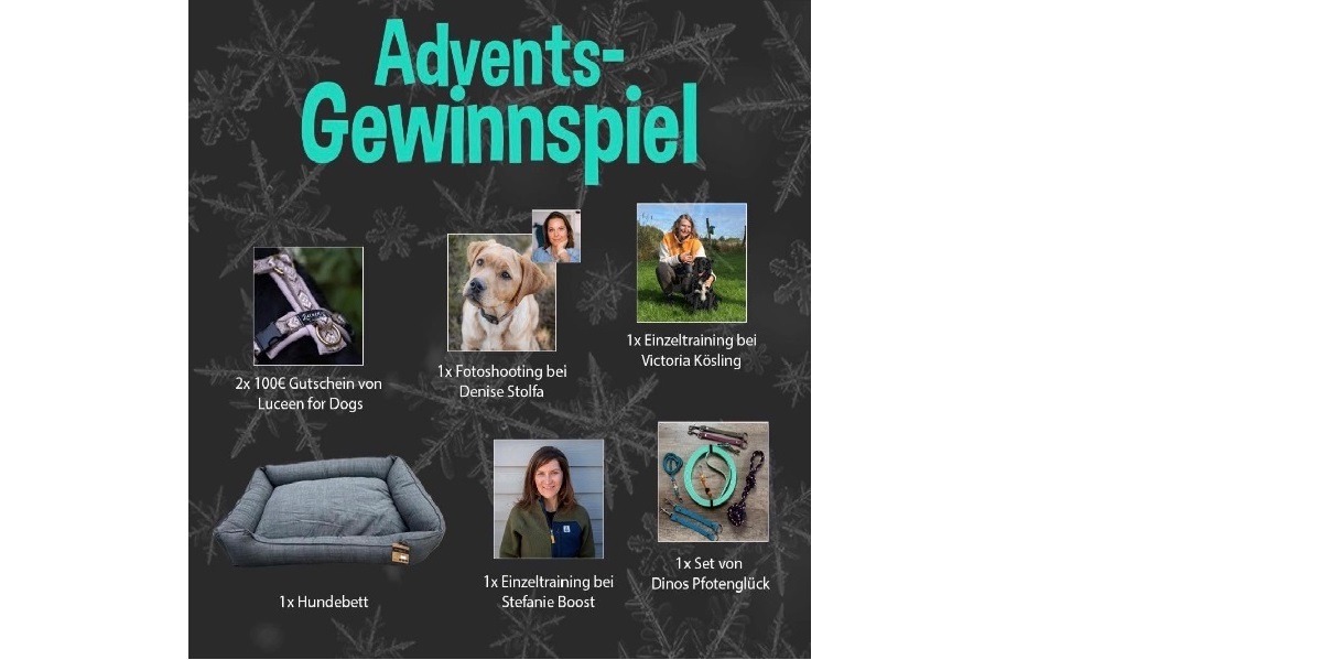 Du betrachtest gerade Die große Weihnachts-TOMBOLA 🎁🌟